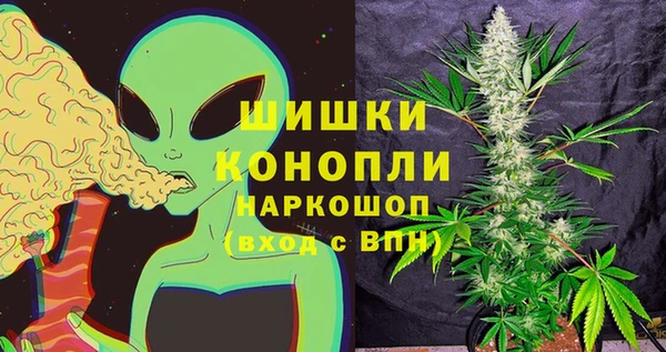 мяу мяу мука Бородино