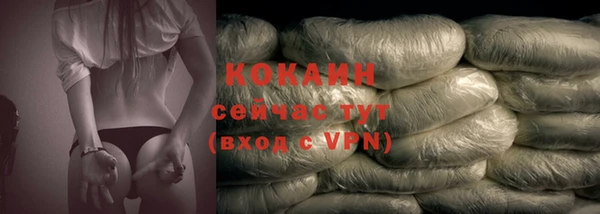 гашик Тында
