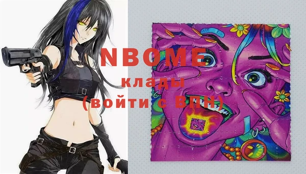 гашик Тында