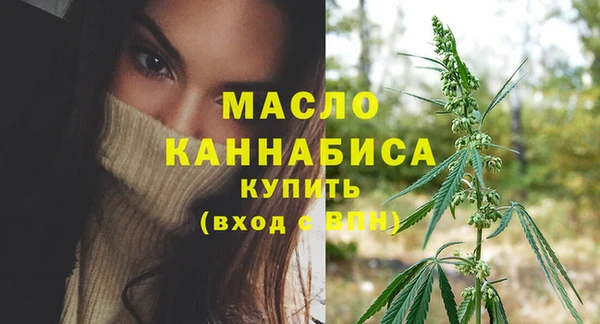 гашик Тында