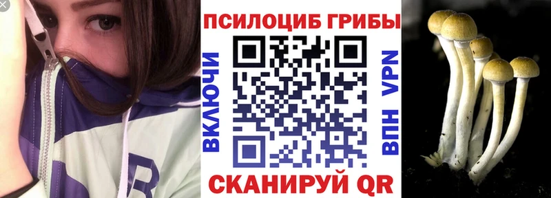 Псилоцибиновые грибы Cubensis  OMG маркетплейс  Кирс 
